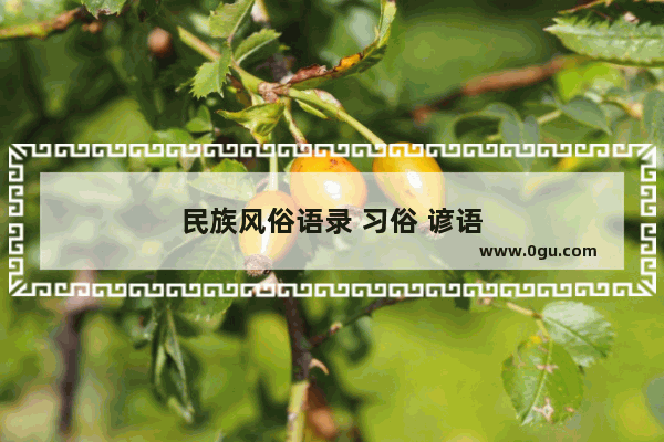 民族风俗语录 习俗 谚语
