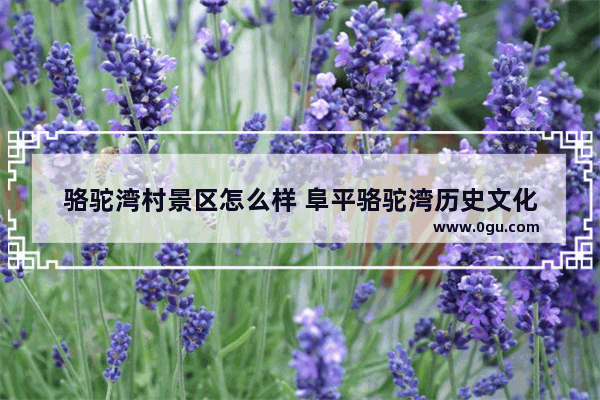 骆驼湾村景区怎么样 阜平骆驼湾历史文化