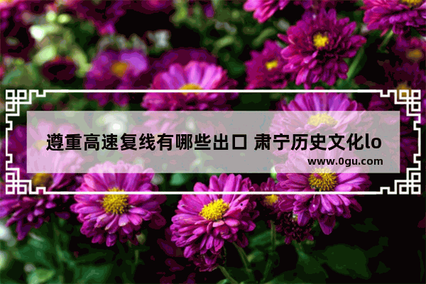 遵重高速复线有哪些出口 肃宁历史文化logo