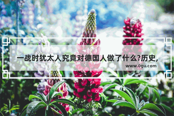 一战时犹太人究竟对德国人做了什么?历史,德国针对中国历史