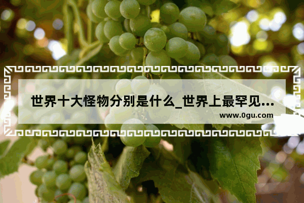 世界十大怪物分别是什么_世界上最罕见的四大奇人奇事