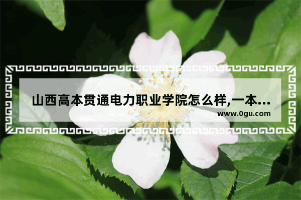 山西高本贯通电力职业学院怎么样,一本贯通世界历史的学校