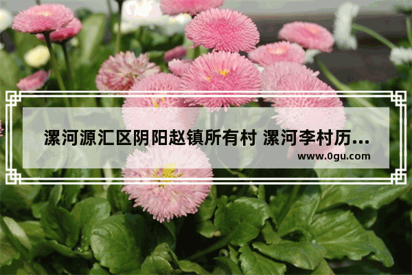 漯河源汇区阴阳赵镇所有村 漯河李村历史故事