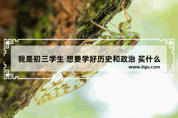 我是初三学生 想要学好历史和政治 买什么辅导书好呢,初中世界历史教学方法研究