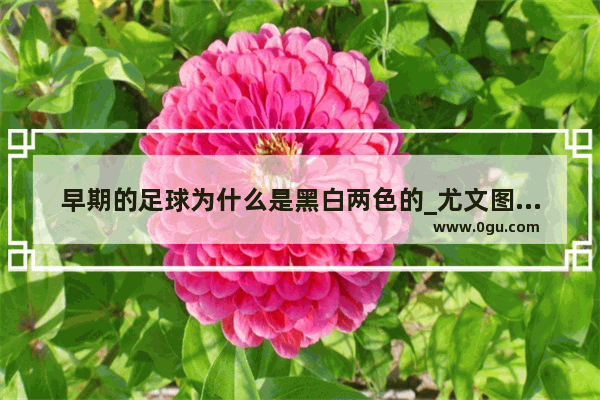 早期的足球为什么是黑白两色的_尤文图斯队徽变迁史