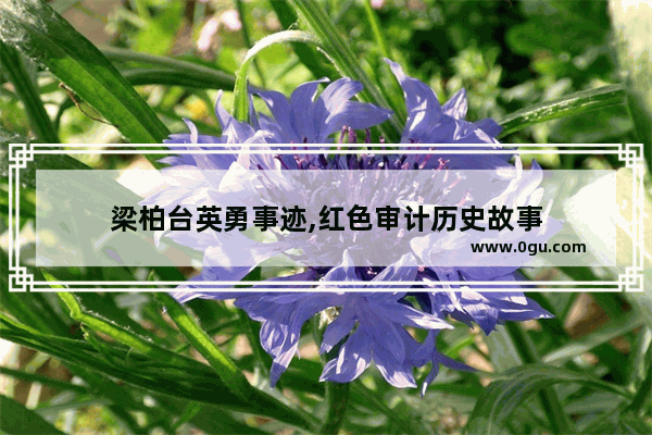 梁柏台英勇事迹,红色审计历史故事