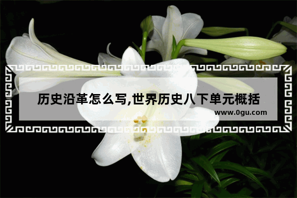 历史沿革怎么写,世界历史八下单元概括