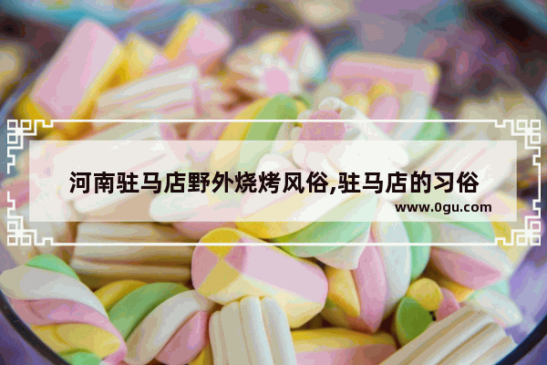 河南驻马店野外烧烤风俗,驻马店的习俗