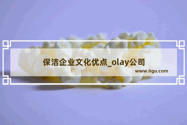 保洁企业文化优点_olay公司