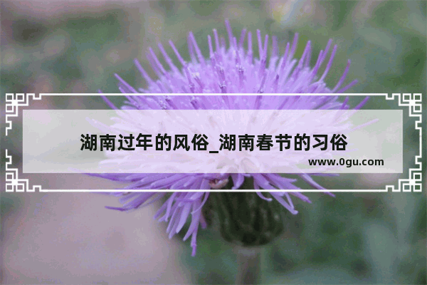 湖南过年的风俗_湖南春节的习俗