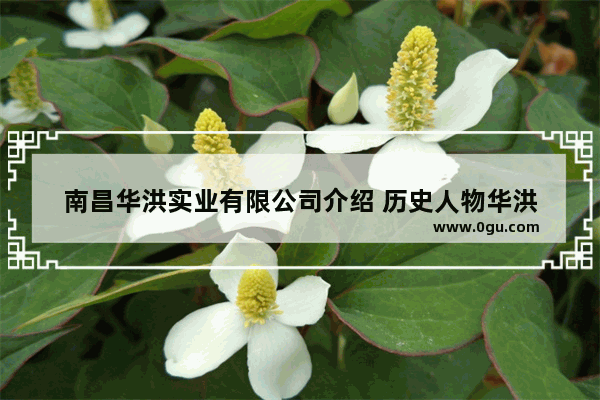 南昌华洪实业有限公司介绍 历史人物华洪