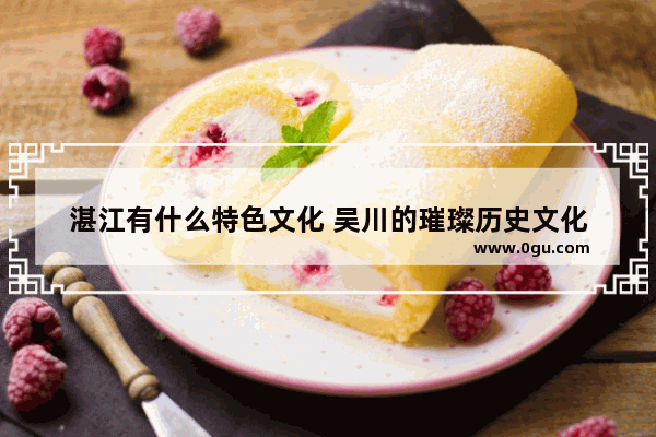 湛江有什么特色文化 吴川的璀璨历史文化
