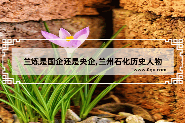 兰炼是国企还是央企,兰州石化历史人物