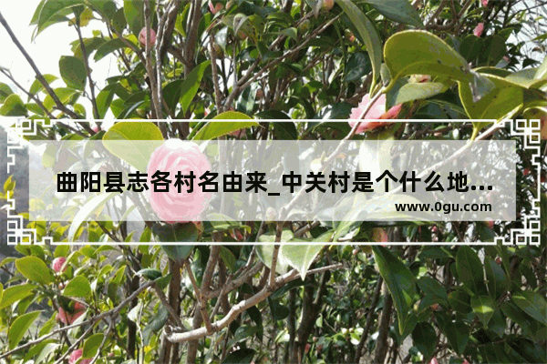 曲阳县志各村名由来_中关村是个什么地方啊
