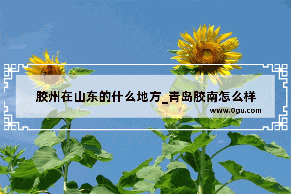 胶州在山东的什么地方_青岛胶南怎么样