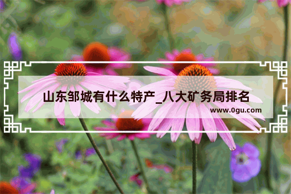山东邹城有什么特产_八大矿务局排名
