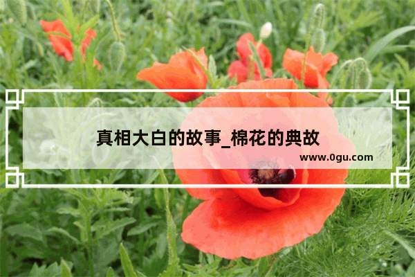 真相大白的故事_棉花的典故