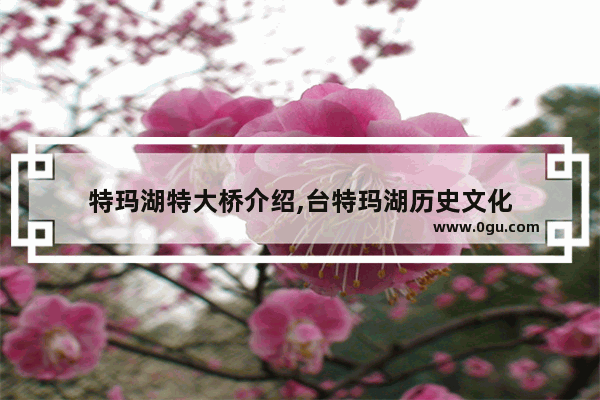 特玛湖特大桥介绍,台特玛湖历史文化