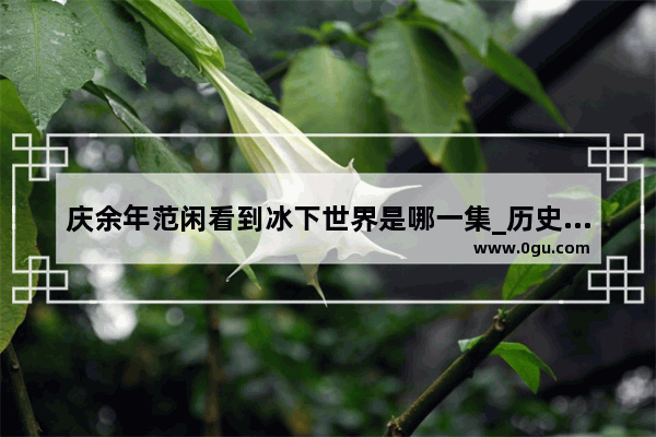 庆余年范闲看到冰下世界是哪一集_历史引用视频画面是不是侵权
