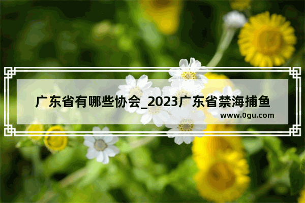 广东省有哪些协会_2023广东省禁海捕鱼期是什么时候