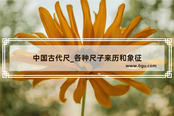中国古代尺_各种尺子来历和象征