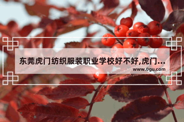 东莞虎门纺织服装职业学校好不好,虎门历史故事服装