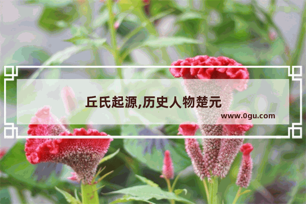 丘氏起源,历史人物楚元