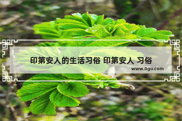 印第安人的生活习俗 印第安人 习俗
