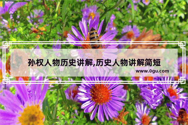 孙权人物历史讲解,历史人物讲解简短