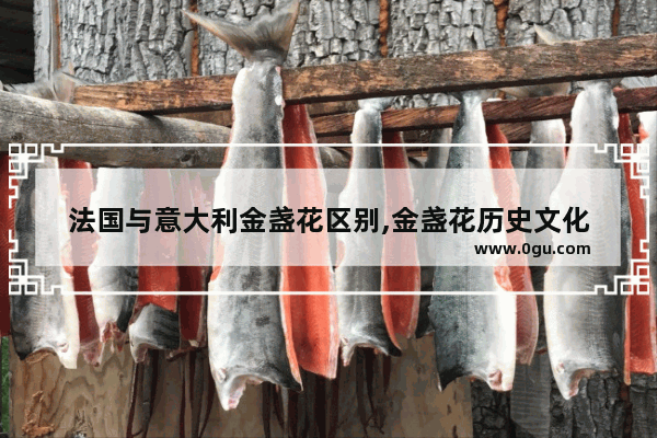 法国与意大利金盏花区别,金盏花历史文化