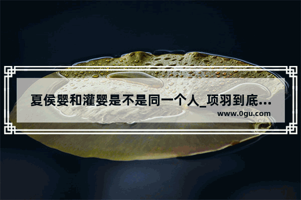 夏侯婴和灌婴是不是同一个人_项羽到底是被灌婴杀的还是自刎