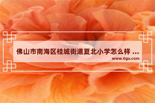 佛山市南海区桂城街道夏北小学怎么样 南海夏北历史文化