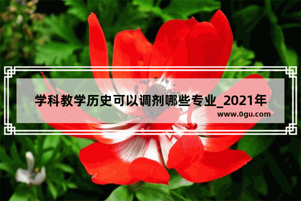 学科教学历史可以调剂哪些专业_2021年考研历史318分能调剂吗