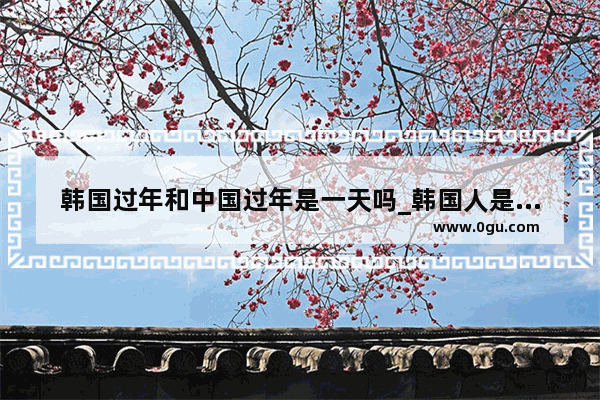 韩国过年和中国过年是一天吗_韩国人是否过中国的春节