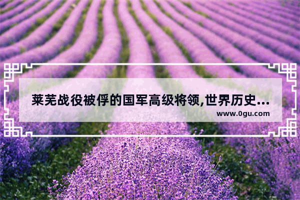 莱芜战役被俘的国军高级将领,世界历史上最传奇的卧底