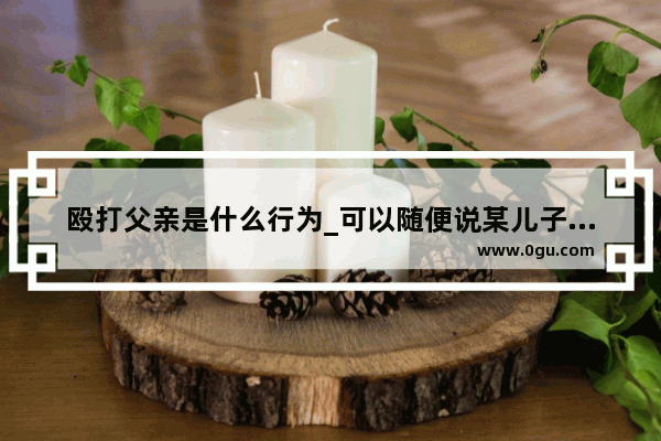 殴打父亲是什么行为_可以随便说某儿子打父亲就是不孝吗