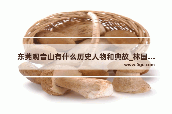 东莞观音山有什么历史人物和典故_林国栋为什么叫东莞仔