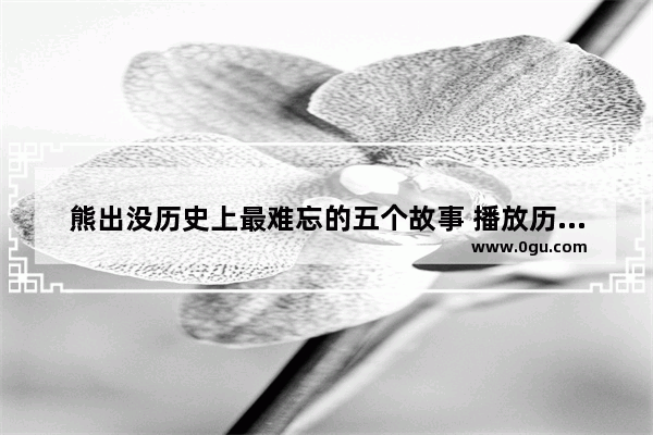 熊出没历史上最难忘的五个故事 播放历史故事动画