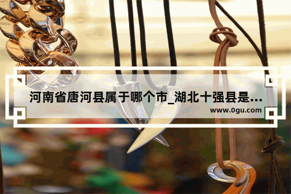 河南省唐河县属于哪个市_湖北十强县是哪十个