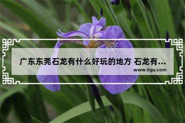 广东东莞石龙有什么好玩的地方 石龙有什么历史文化