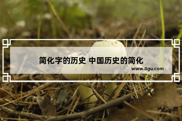 简化字的历史 中国历史的简化