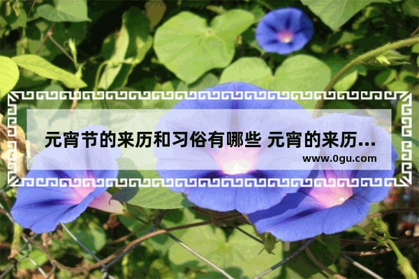 元宵节的来历和习俗有哪些 元宵的来历和习俗