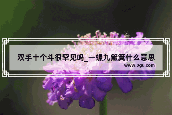 双手十个斗很罕见吗_一螺九簸箕什么意思