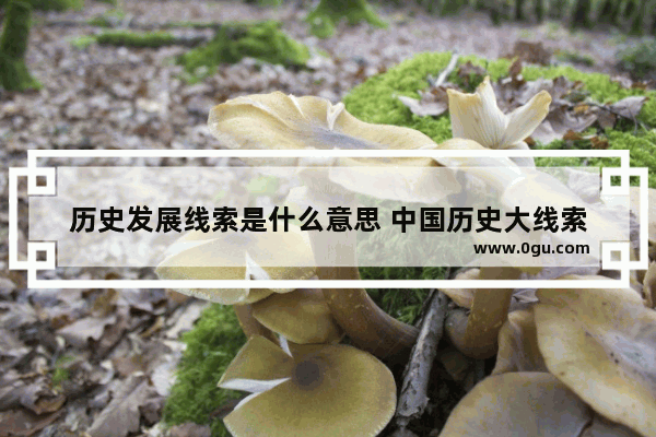 历史发展线索是什么意思 中国历史大线索