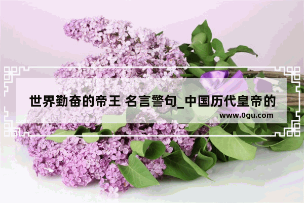 世界勤奋的帝王 名言警句_中国历代皇帝的丰功伟绩