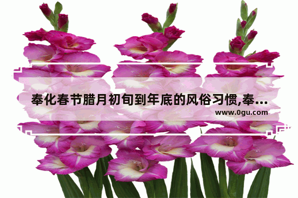 奉化春节腊月初旬到年底的风俗习惯,奉化的习俗