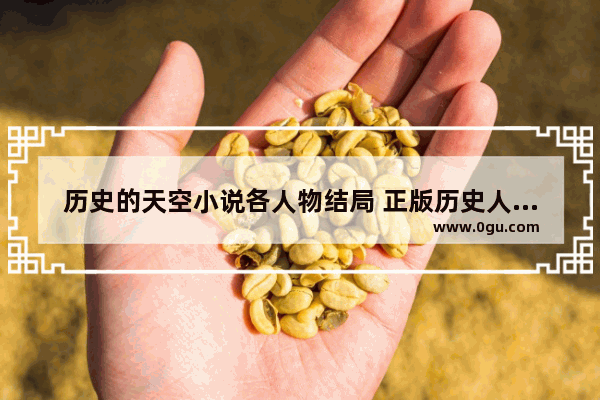 历史的天空小说各人物结局 正版历史人物小说