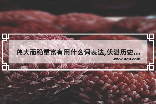 伟大而稳重富有用什么词表达,伏湛历史故事