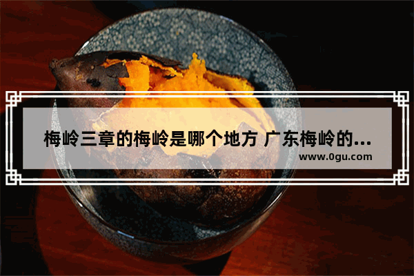 梅岭三章的梅岭是哪个地方 广东梅岭的历史文化