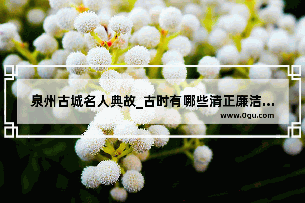 泉州古城名人典故_古时有哪些清正廉洁的世家